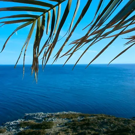 Agnantio Eleios-Pronnoi